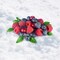 Berries In The Snow Fragrance Oil (Our Version of the Brand Name) (1 oz Bottle) for Candle Making, Soap Making, Tart Making, Room Sprays, Lotions, Car Fresheners, Slime, Bath Bombs, Warmers&#x2026;